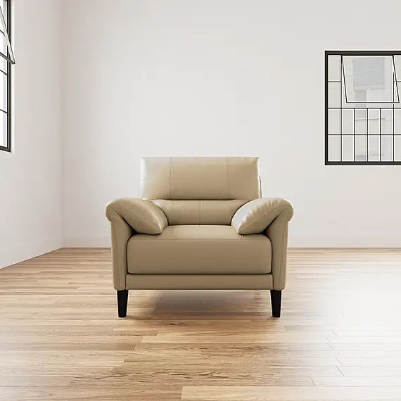 Plush Arm Curve Chair