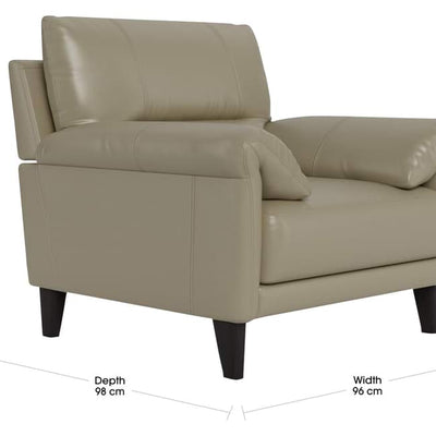 Plush Arm Curve Chair