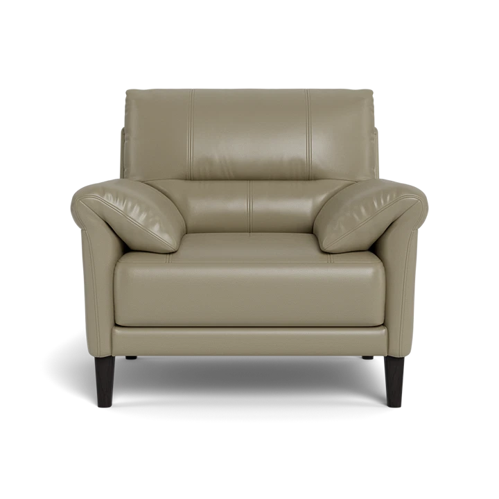 Plush Arm Curve Chair